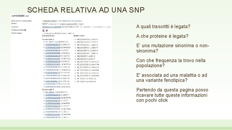 SCHEDA RELATIVA AD UNA SNP A quali trascritti è legata? A che proteine è