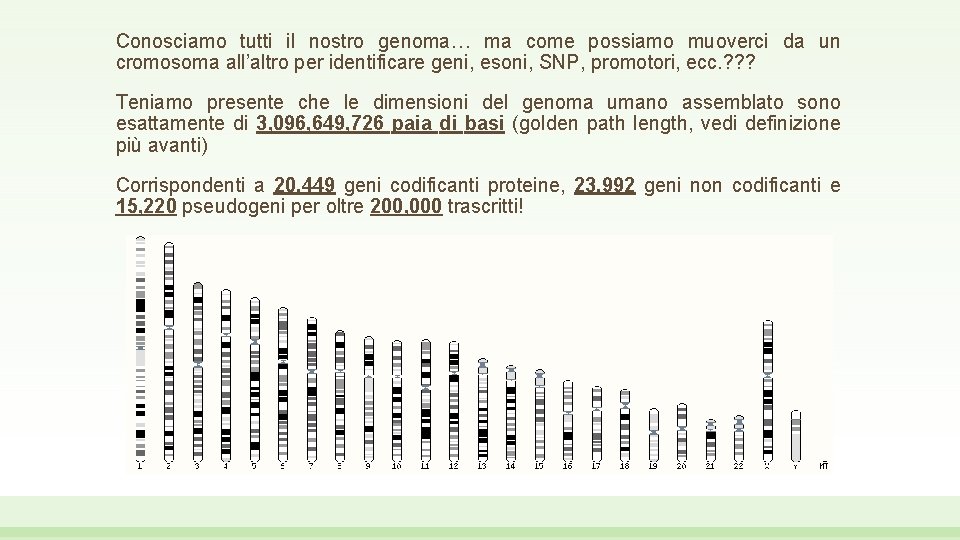 Conosciamo tutti il nostro genoma… ma come possiamo muoverci da un cromosoma all’altro per