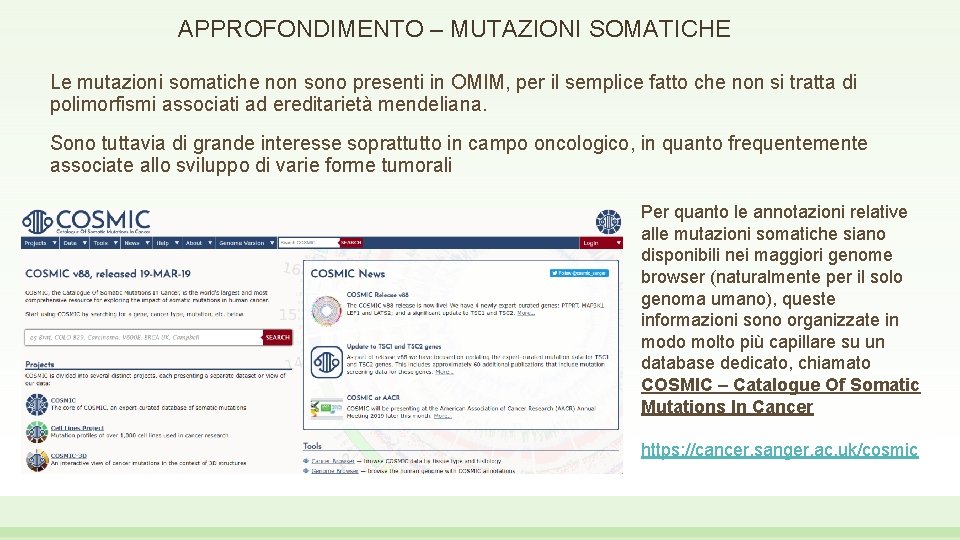 APPROFONDIMENTO – MUTAZIONI SOMATICHE Le mutazioni somatiche non sono presenti in OMIM, per il