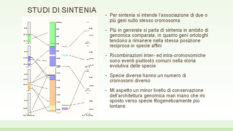 STUDI DI SINTENIA • Per sintenia si intende l’associazione di due o più geni