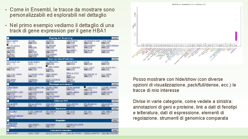  • Come in Ensembl, le tracce da mostrare sono personalizzabili ed esplorabili nel