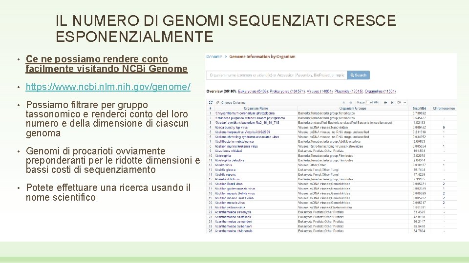 IL NUMERO DI GENOMI SEQUENZIATI CRESCE ESPONENZIALMENTE • Ce ne possiamo rendere conto facilmente