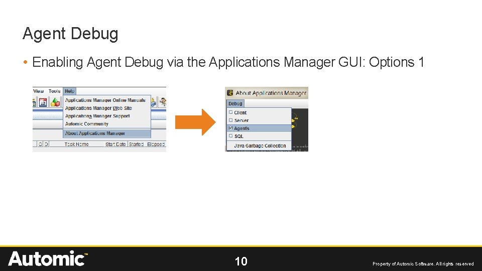 Agent Debug • Enabling Agent Debug via the Applications Manager GUI: Options 1 10