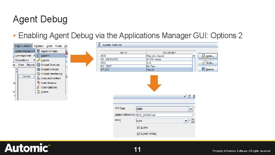 Agent Debug • Enabling Agent Debug via the Applications Manager GUI: Options 2 11