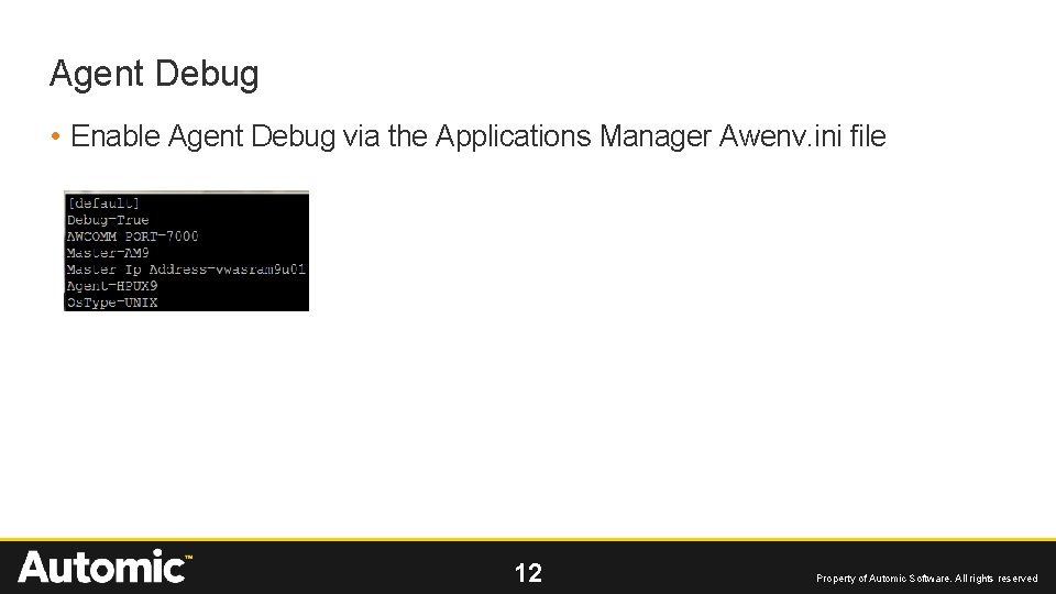 Agent Debug • Enable Agent Debug via the Applications Manager Awenv. ini file 12