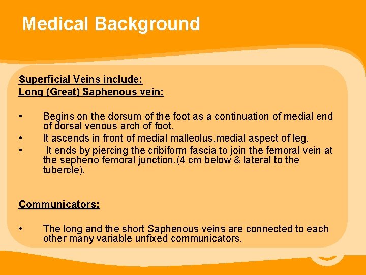 Medical Background Superficial Veins include: Long (Great) Saphenous vein: • • • Begins on