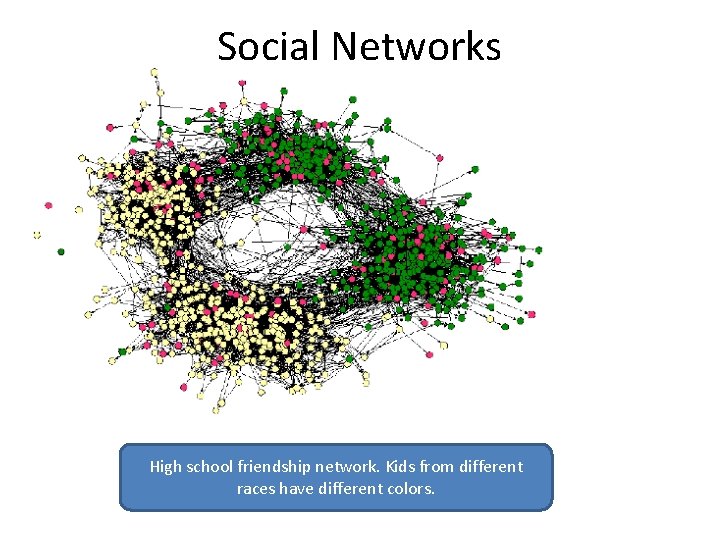 Social Networks High school friendship network. Kids from different races have different colors. 