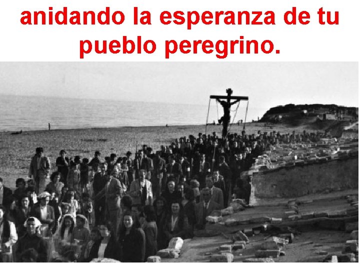 anidando la esperanza de tu pueblo peregrino. 