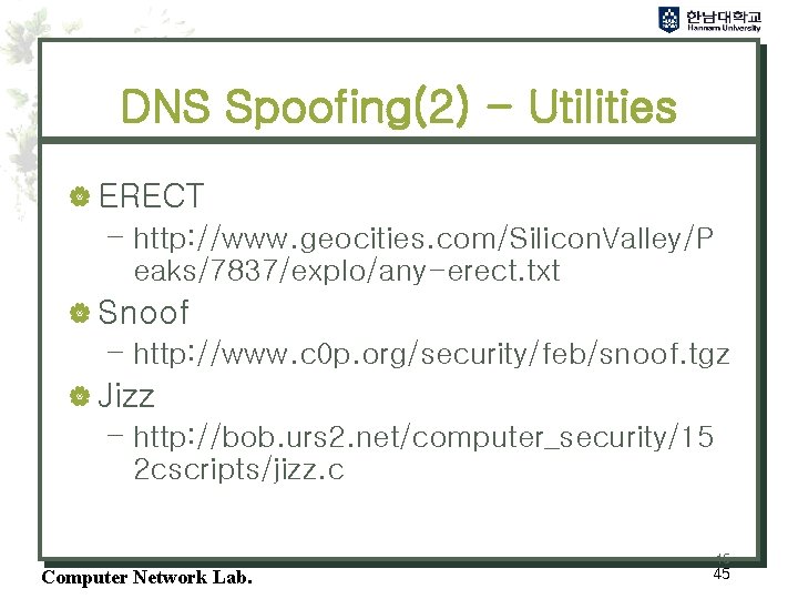 DNS Spoofing(2) - Utilities | ERECT – http: //www. geocities. com/Silicon. Valley/P eaks/7837/explo/any-erect. txt