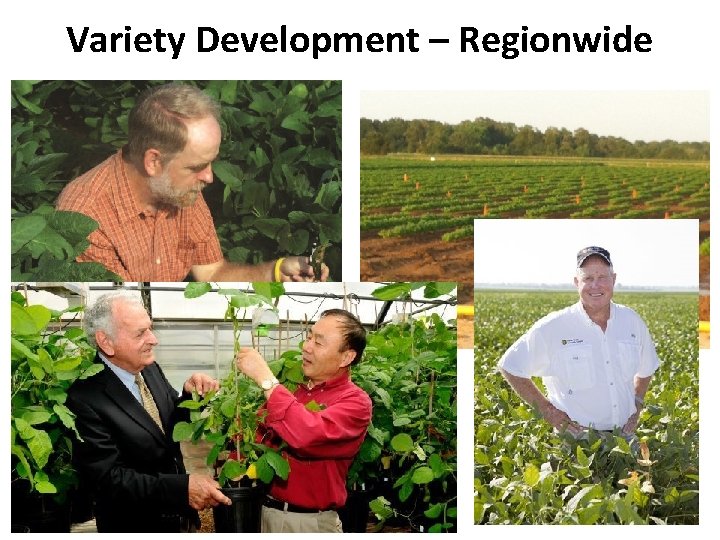 Variety Development – Regionwide 