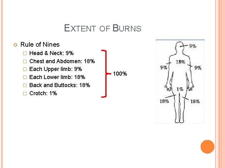 EXTENT OF BURNS Rule of Nines � � � Head & Neck: 9% Chest