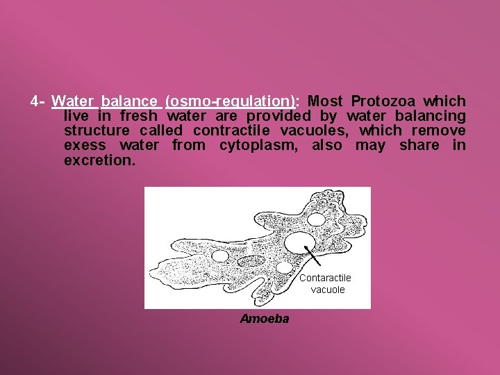 4 - Water balance (osmo-regulation): Most Protozoa which live in fresh water are provided