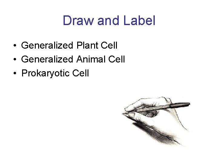 Draw and Label • Generalized Plant Cell • Generalized Animal Cell • Prokaryotic Cell