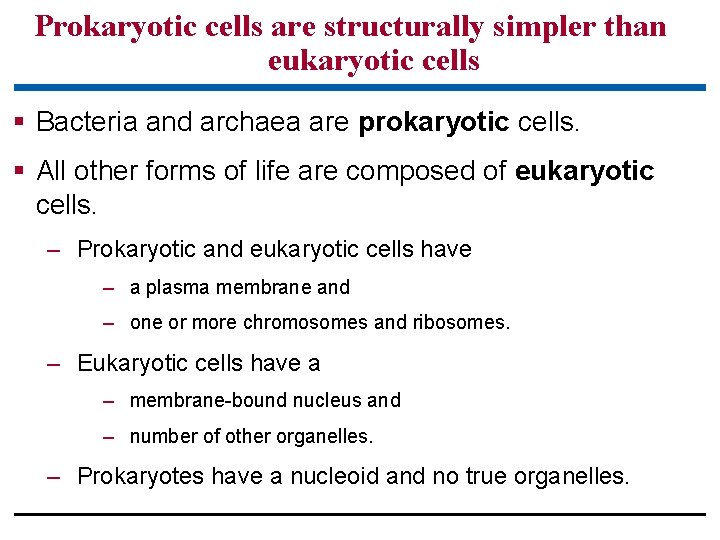 Prokaryotic cells are structurally simpler than eukaryotic cells § Bacteria and archaea are prokaryotic