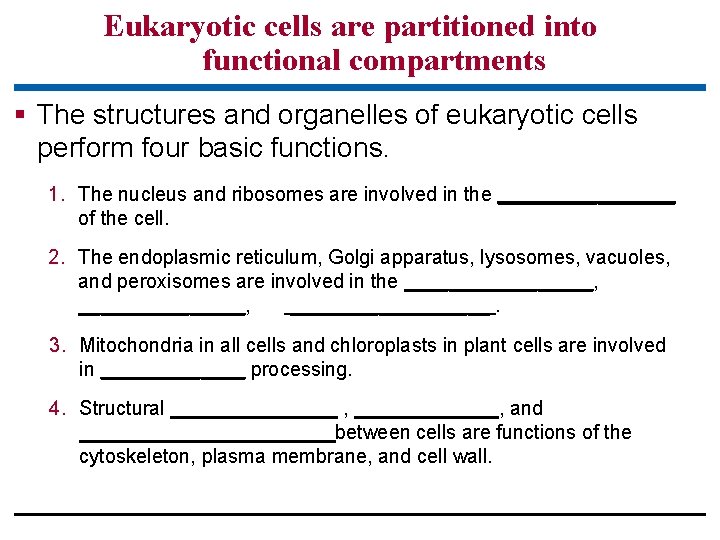 Eukaryotic cells are partitioned into functional compartments § The structures and organelles of eukaryotic