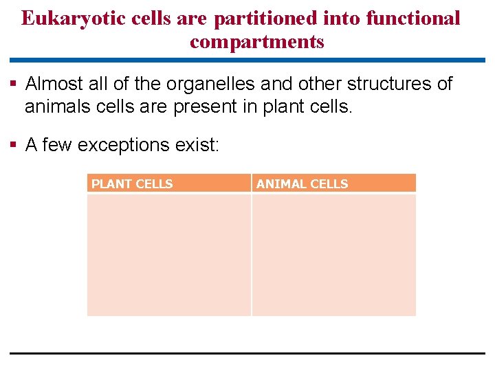 Eukaryotic cells are partitioned into functional compartments § Almost all of the organelles and