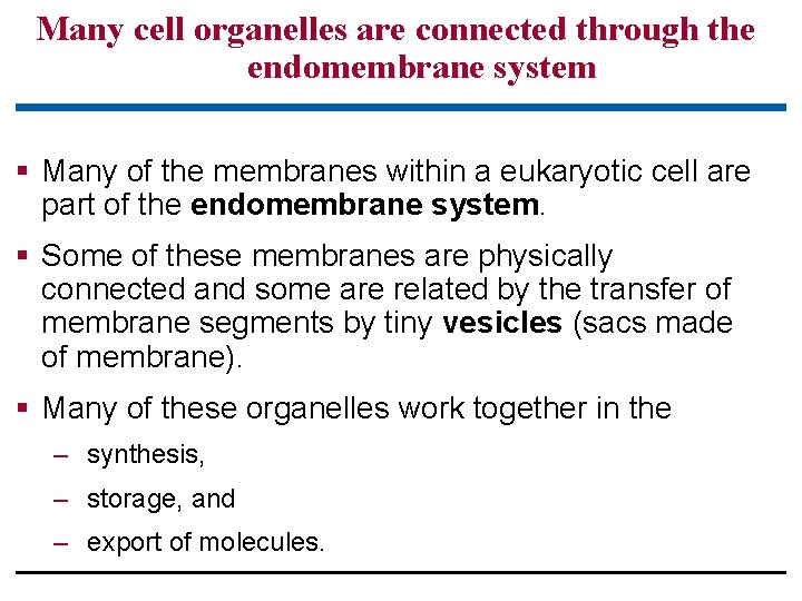 Many cell organelles are connected through the endomembrane system § Many of the membranes