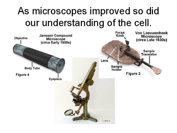As microscopes improved so did our understanding of the cell. 