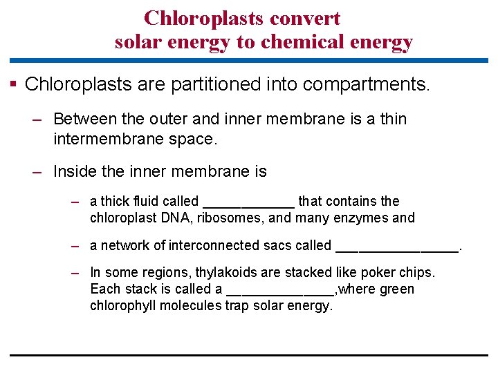 Chloroplasts convert solar energy to chemical energy § Chloroplasts are partitioned into compartments. –