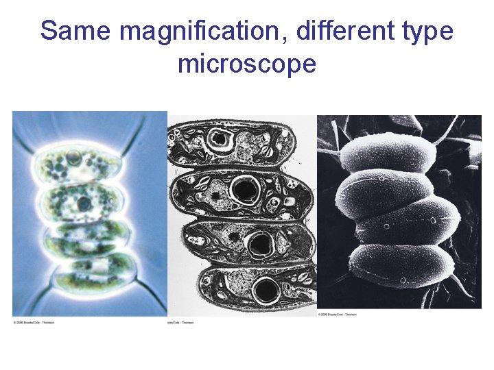 Same magnification, different type microscope 