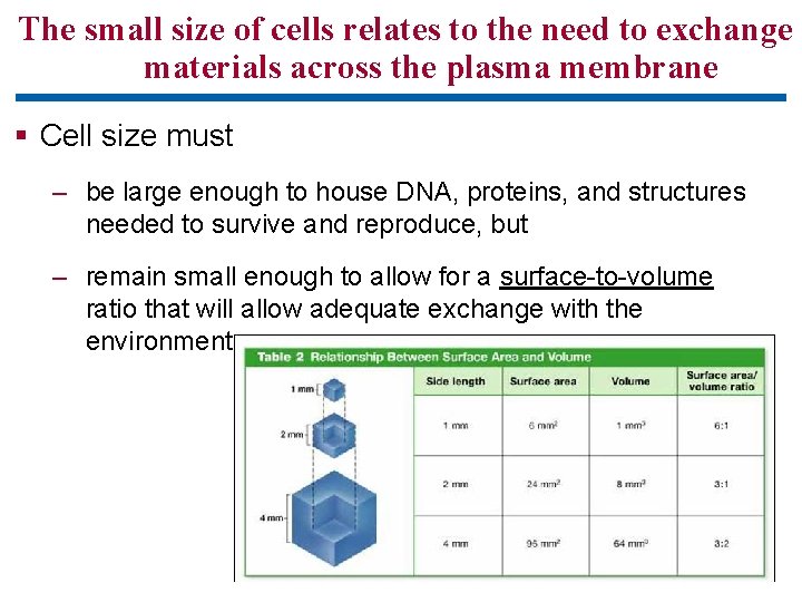 The small size of cells relates to the need to exchange materials across the