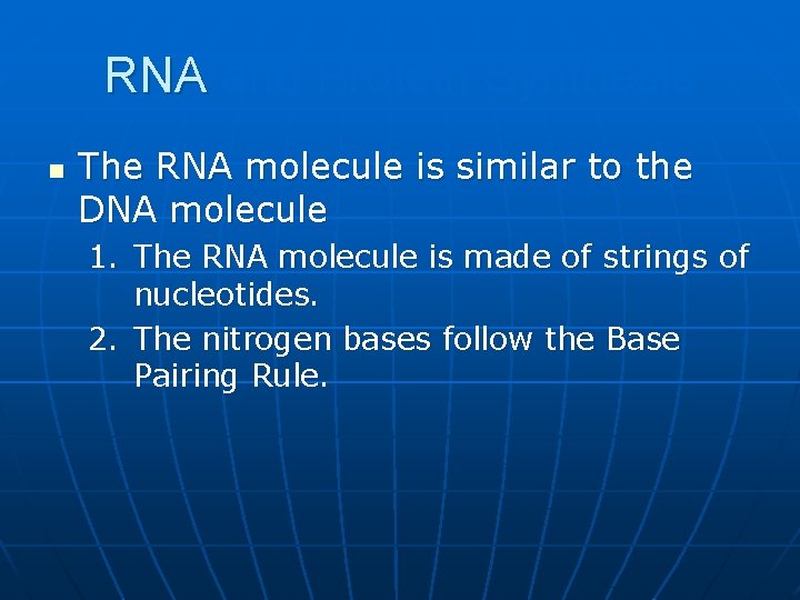 RNA and Protein Synthesis n The RNA molecule is similar to the DNA molecule