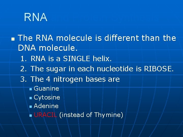 RNA and Protein Synthesis n The RNA molecule is different than the DNA molecule.