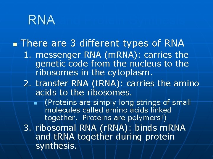 RNA and Protein Synthesis n There are 3 different types of RNA 1. messenger
