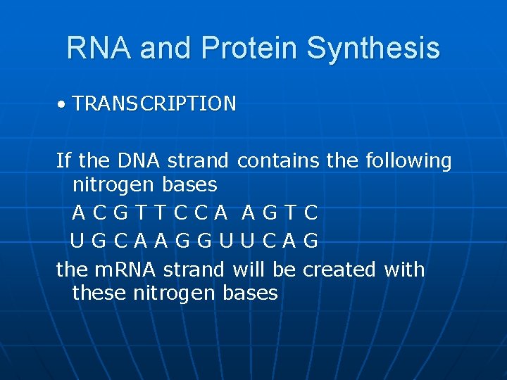 RNA and Protein Synthesis • TRANSCRIPTION If the DNA strand contains the following nitrogen