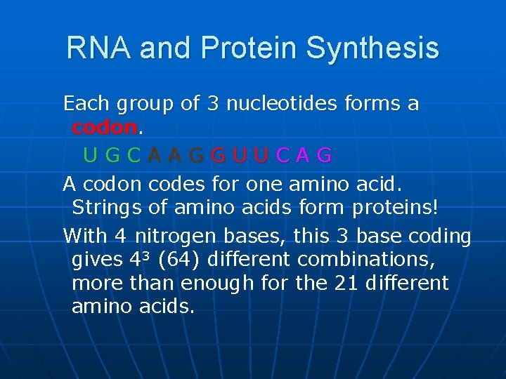 RNA and Protein Synthesis Each group of 3 nucleotides forms a codon. UGCAAGGUUCAG A