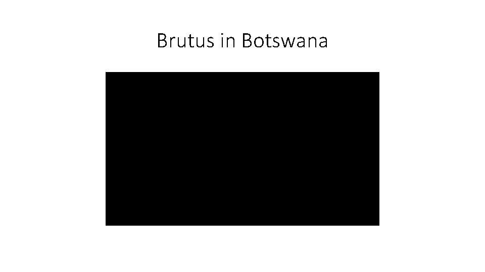 Brutus in Botswana 