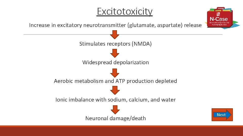 Excitotoxicity Increase in excitatory neurotransmitter (glutamate, aspartate) release Stimulates receptors (NMDA) Widespread depolarization Aerobic