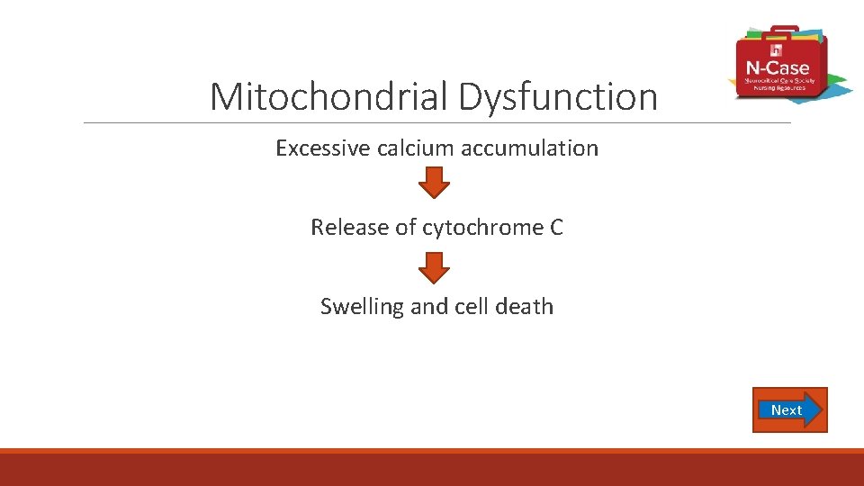 Mitochondrial Dysfunction Excessive calcium accumulation Release of cytochrome C Swelling and cell death Next