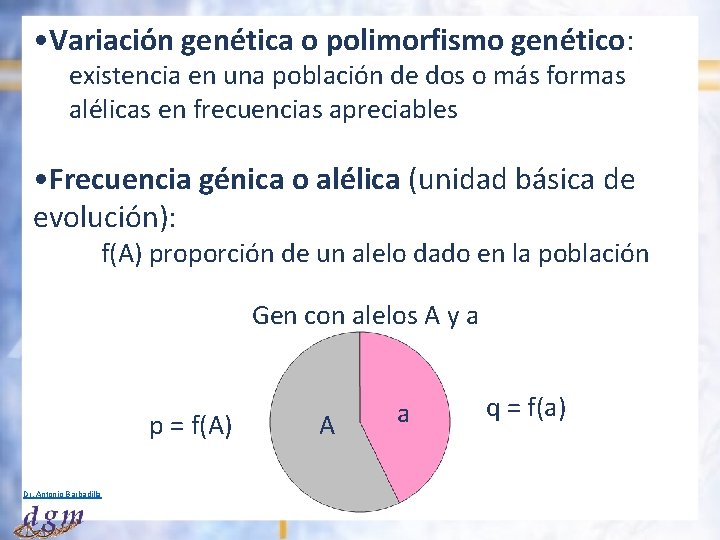  • Variación genética o polimorfismo genético: existencia en una población de dos o