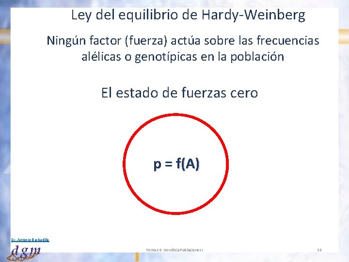 Ley del equilibrio de Hardy-Weinberg Ningún factor (fuerza) actúa sobre las frecuencias alélicas o