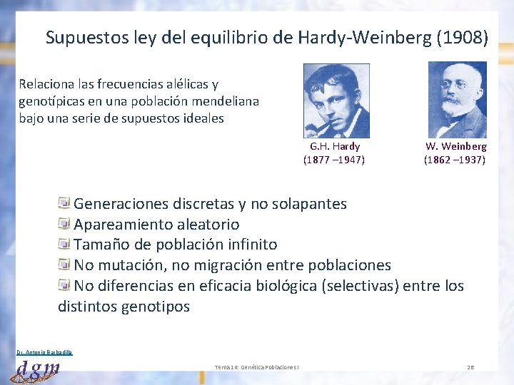 Supuestos ley del equilibrio de Hardy-Weinberg (1908) Relaciona las frecuencias alélicas y genotípicas en