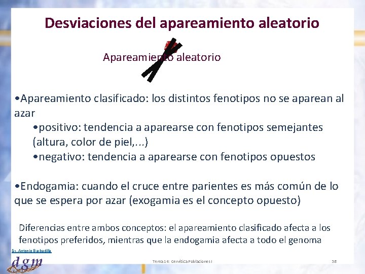 Desviaciones del apareamiento aleatorio Apareamiento aleatorio • Apareamiento clasificado: los distintos fenotipos no se