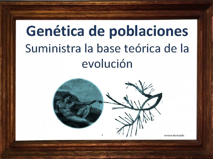 Genética de poblaciones Suministra la base teórica de la evolución 8 Dr. Antonio Barbadilla