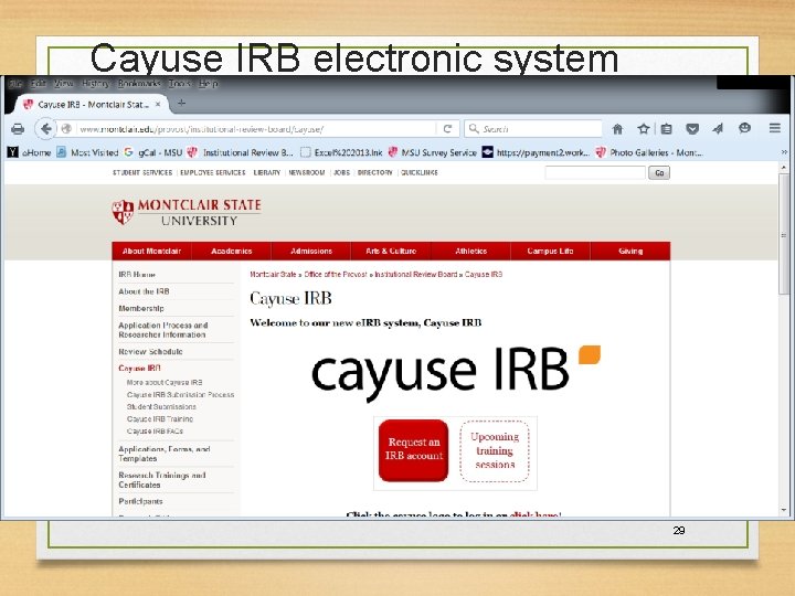 Cayuse IRB electronic system 29 