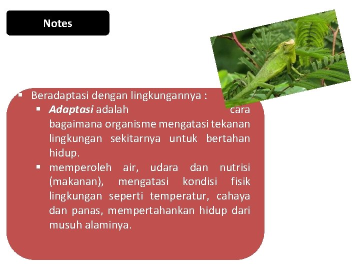 Notes § Beradaptasi dengan lingkungannya : § Adaptasi adalah cara bagaimana organisme mengatasi tekanan