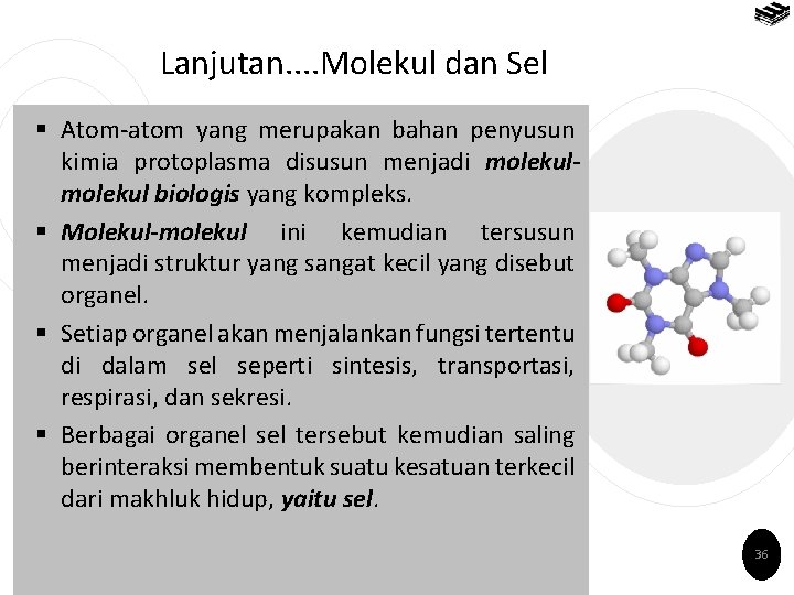 Lanjutan. . Molekul dan Sel § Atom-atom yang merupakan bahan penyusun kimia protoplasma disusun