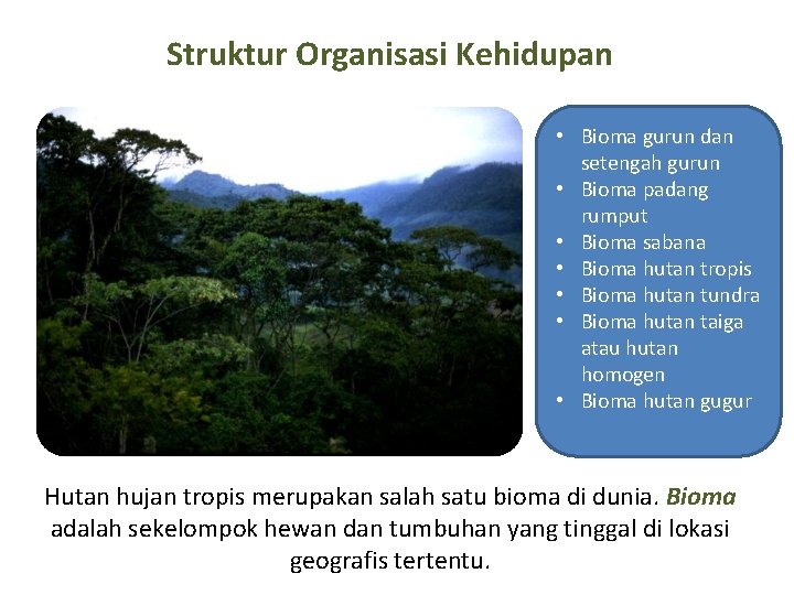 Struktur Organisasi Kehidupan • Bioma gurun dan setengah gurun • Bioma padang rumput •