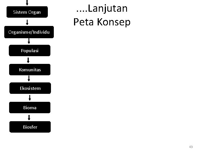 Sistem Organ . . Lanjutan Peta Konsep Organisme/Individu Populasi Komunitas Ekosistem Bioma Biosfer 43