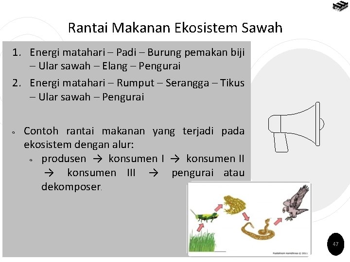 Rantai Makanan Ekosistem Sawah 1. Energi matahari – Padi – Burung pemakan biji –