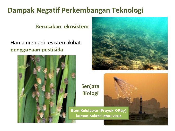 Dampak Negatif Perkembangan Teknologi Kerusakan ekosistem Hama menjadi resisten akibat penggunaan pestisida Senjata Biologi