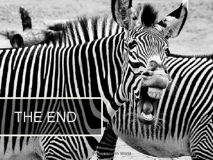 THE END Proff’s English World 