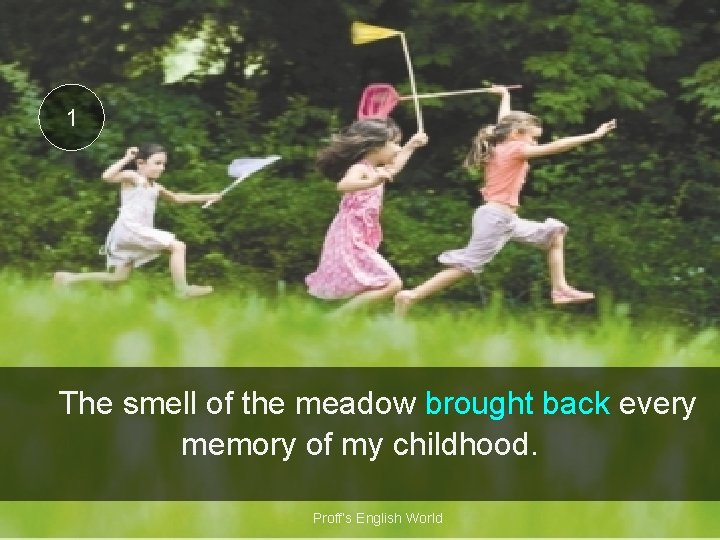1 The smell of the meadow brought back every memory of my childhood. Proff’s