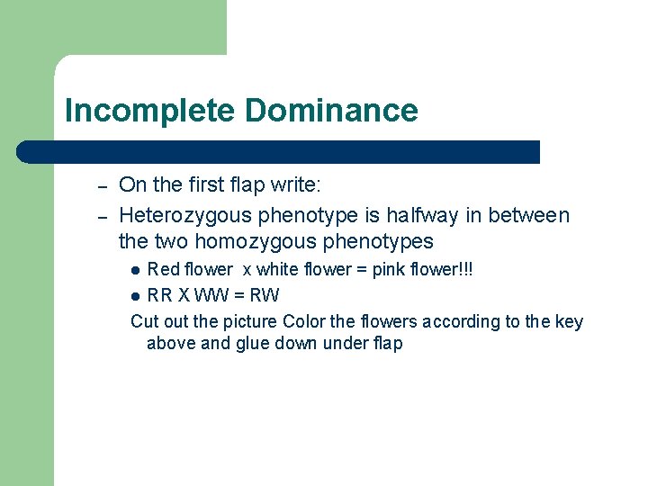 Incomplete Dominance – – On the first flap write: Heterozygous phenotype is halfway in