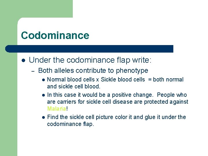 Codominance l Under the codominance flap write: – Both alleles contribute to phenotype l Codominance l Under the codominance flap write: – Both alleles contribute to phenotype l