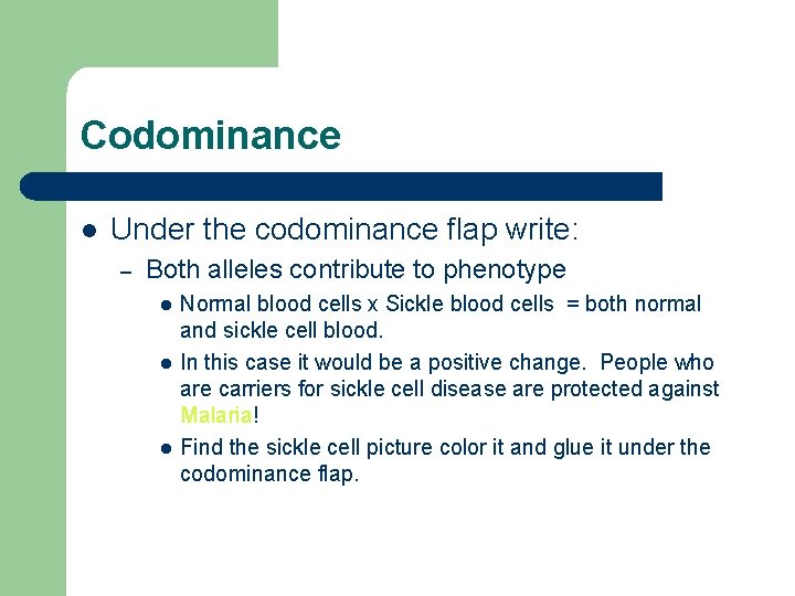 Codominance l Under the codominance flap write: – Both alleles contribute to phenotype l